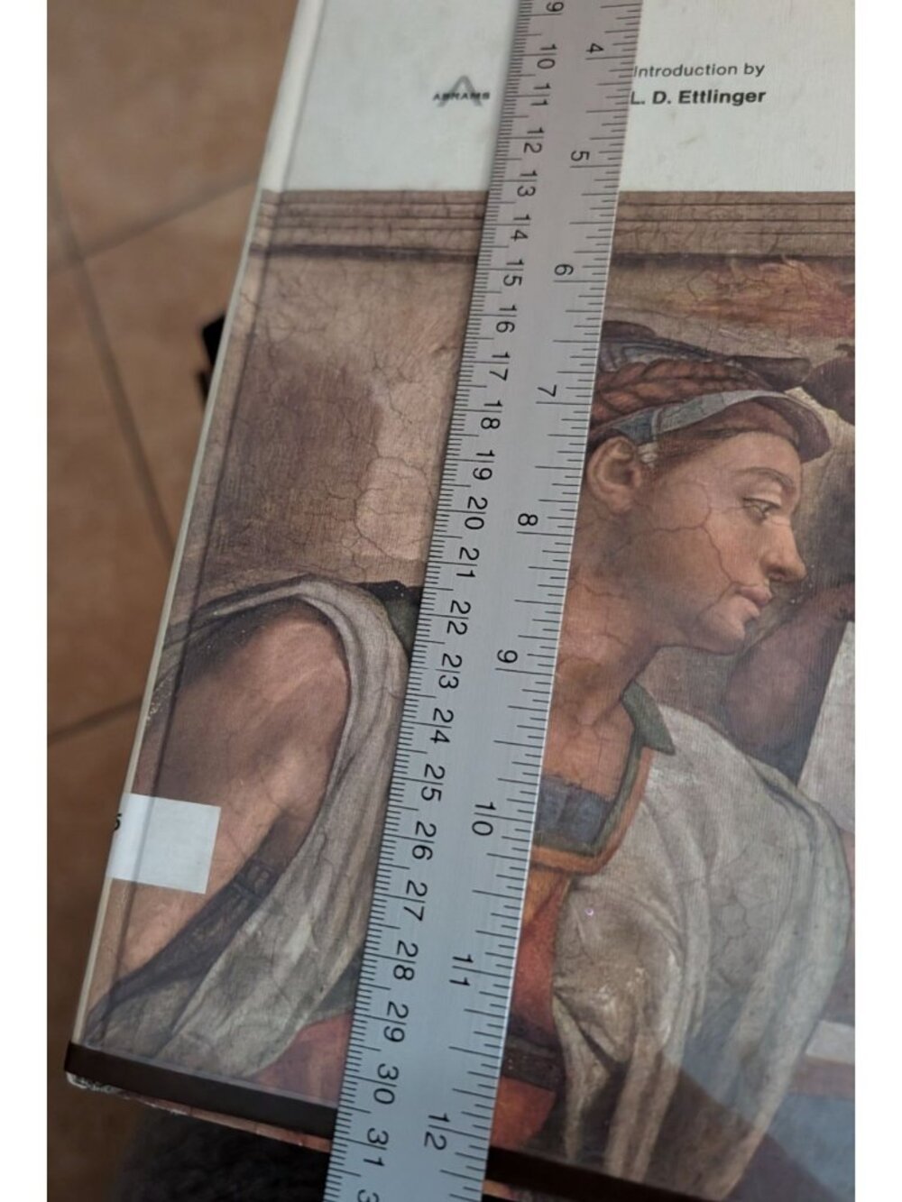The Complete Paintings Of Michelangelo Hardcover Art Book Classics Of The Worlds - Picture 11 of 14